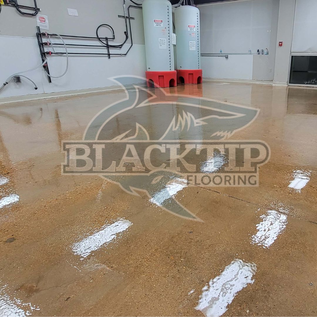 Blacktip Flooring Solutions Sealed-Concrete-Davita-Center-2